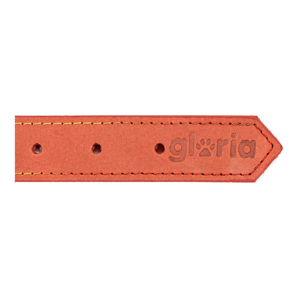 Collar para Perro Gloria Oasis Rojo (60 x 3 cm)